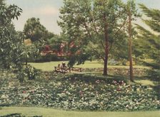 Queen's Gardens c1947. Creator: Unknown