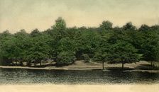 Queensmere, Wimbledon Common, London, 1903. Creator: Unknown