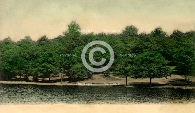 Queensmere, Wimbledon Common, London, 1903. Creator: Unknown.