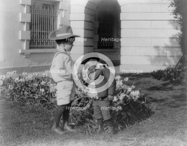 Quentin Roosevelt as a child in front of a flower garden...White House, Washington DC, c1900 - 1905. Creator: Frances Benjamin Johnston.