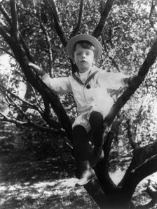 Quentin Roosevelt, c1902 June 17. Creator: Frances Benjamin Johnston