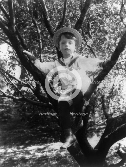 Quentin Roosevelt, c1902 June 17. Creator: Frances Benjamin Johnston.