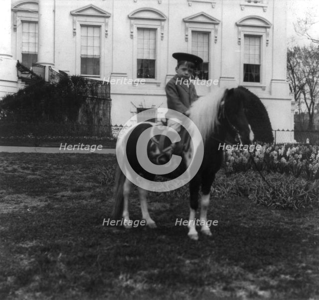 Quentin Roosevelt on a pony, c1902 June 17. Creator: Frances Benjamin Johnston.