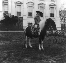 Quentin Roosevelt on a pony, c1902 June 17. Creator: Frances Benjamin Johnston
