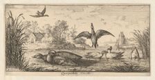 Querquedula, Cercelle (The Teal): Livre d'Oyseaux (Book of Birds), 1655-1660. Creator: albert flamen