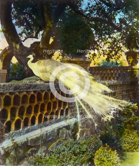 "Quiet Corner," John Wesley Baxter, Dublin and Hill Roads, Greenwich, Connecticut, 1920. Creator: Frances Benjamin Johnston.