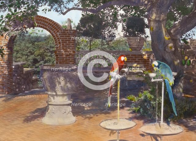 "Quiet Corner," John Wesley Baxter house, Dublin and Hill Roads, Greenwich, Connecticut, 1920. Creator: Frances Benjamin Johnston.