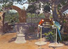 "Quiet Corner," John Wesley Baxter house, Dublin and Hill Roads, Greenwich, Connecticut, 1920. Creator: Frances Benjamin Johnston