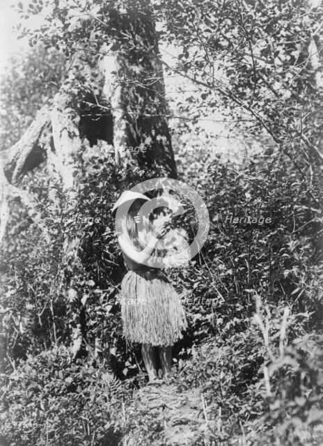 Quinault berry picker, c1913. Creator: Edward Sheriff Curtis.