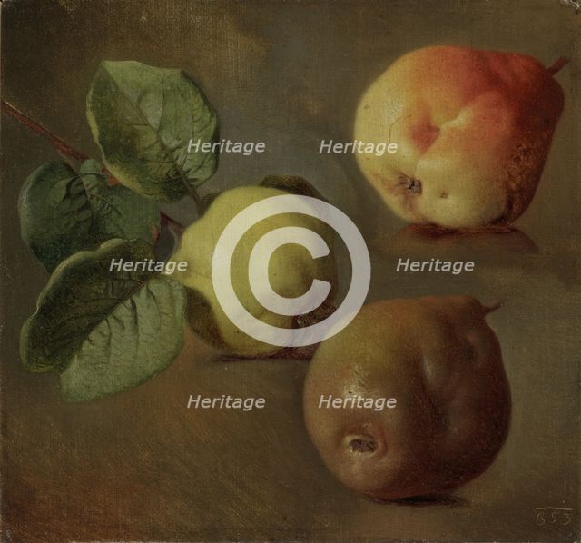 Quince, 1853.
