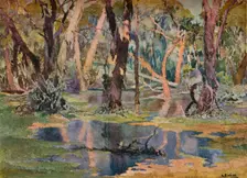 Quindanning Pool c1927. Artist: Archibald Bertram Webb