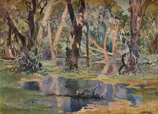 Quindanning Pool c1927. Artist: Archibald Bertram Webb