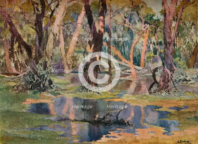 'Quindanning Pool', c1927. Artist: Archibald Bertram Webb.