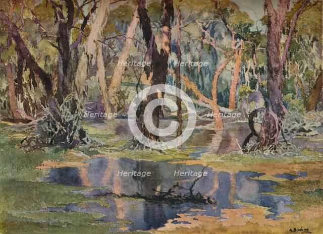 'Quindanning Pool', c1927. Artist: Archibald Bertram Webb.
