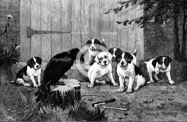 Quoth The Raven: "Never More!", 1890.  Creator: John Greenaway.