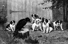 Quoth The Raven: "Never More!", 1890. Creator: John Greenaway