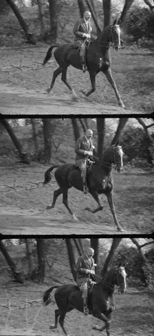 Rothbart, Albert, Mr., on horseback, between 1920 and 1935. Creator: Arnold Genthe