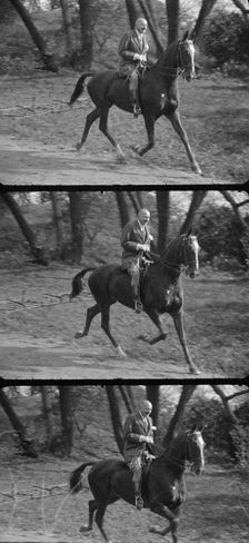 Rothbart, Albert, Mr., on horseback, between 1920 and 1935. Creator: Arnold Genthe