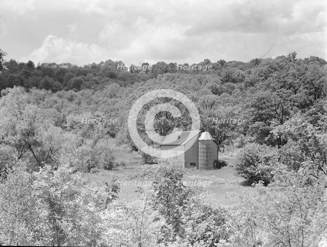 Rothbart, Albert, Mr., grounds, between 1920 and 1935. Creator: Arnold Genthe.