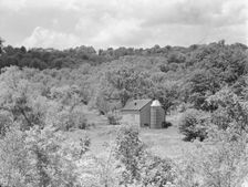 Rothbart, Albert, Mr., grounds, between 1920 and 1935. Creator: Arnold Genthe