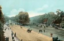 Rotten Row, Hyde Park, London, c1910. Creator: Unknown