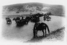 Rough riders on horseback in water at Montauk Point, 1898. Creator: Frances Benjamin Johnston