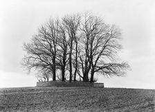 Round barrow, near Bourton on the Water, Gloucestershire, c1860-c1922. Artist: Henry Taunt