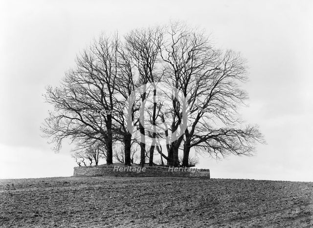 Round barrow, near Bourton on the Water, Gloucestershire, c1860-c1922. Artist: Henry Taunt.