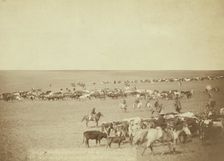 Round-up scenes on Belle Fouche [sic] in 1887, 1887. Creator: John C. H. Grabill