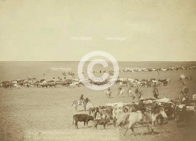 Round-up scenes on Belle Fouche [sic] in 1887, 1887. Creator: John C. H. Grabill.