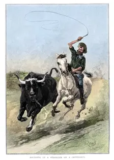 Rounding Up A Straggler On A Cattle Run Australia, 1886. Artist: Frank P Mahony