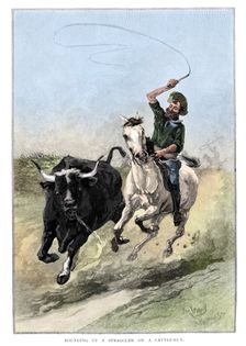 Rounding Up A Straggler On A Cattle Run Australia, 1886. Artist: Frank P Mahony
