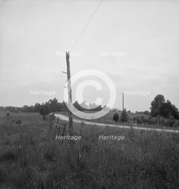 Route 501, one mile north of Bethel Hill High School, Person County, 1939. Creator: Dorothea Lange.