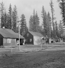 Row of model homes in millworkers town, Gilchrist, Oregon, 1939. Creator: Dorothea Lange