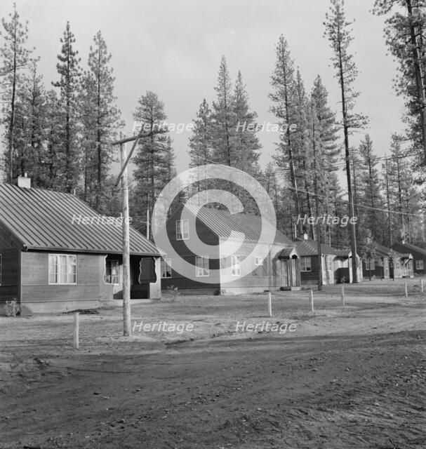Row of model homes in millworkers town, Gilchrist, Oregon, 1939. Creator: Dorothea Lange.