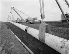 Row of Caterpillar 583 pipelayers with side booms lifting the Fens gas pipeline, Norfolk, 10/08/1967 Creator: John Laing plc