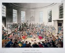 Royal Cock Pit 1808. Artist: J Bluck