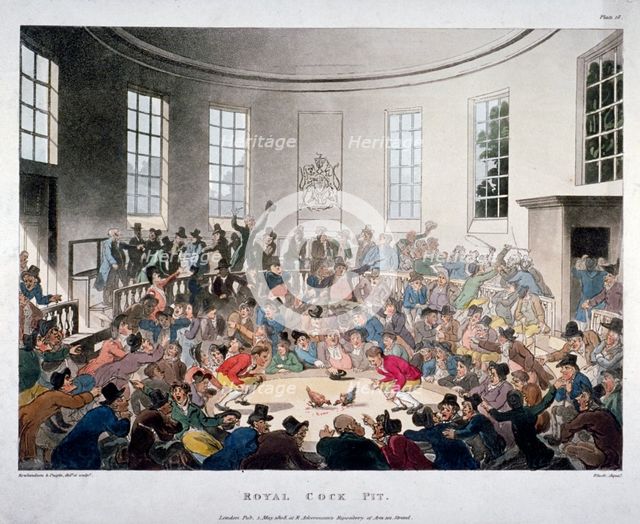 'Royal Cock Pit', 1808. Artist: J Bluck