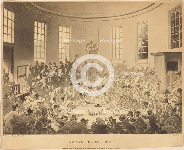 Royal Cock Pit, published 1808. Creator: Thomas Rowlandson.