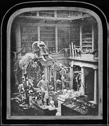 Royal College of Surgeons, Lincoln's Inn Fields, Holborn, London, 1852. Artist: Timothy Le Beau