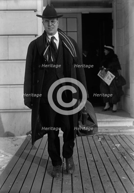 Royal Cleaves Johnson, Rep. from South Dakota, 1918. Creator: Harris & Ewing.