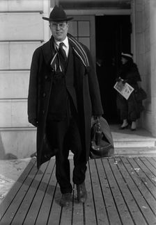 Royal Cleaves Johnson, Rep. from South Dakota, 1918. Creator: Harris & Ewing