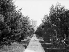 Royal Agricultural College, Cirencester, Gloucestershire, 1883. Artist: Henry Taunt