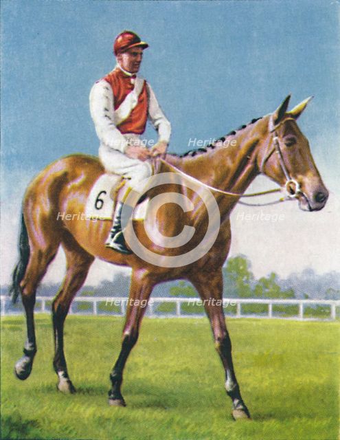 Royal Danieli, Jockey: D. Moore', 1939. Artist: Unknown.