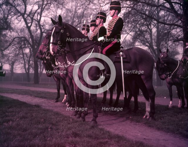 Royal Horse Artillery gun team rehearsal, Regent's Park, London, c1953.  Creator: Arthur Charles Kirby Ware.