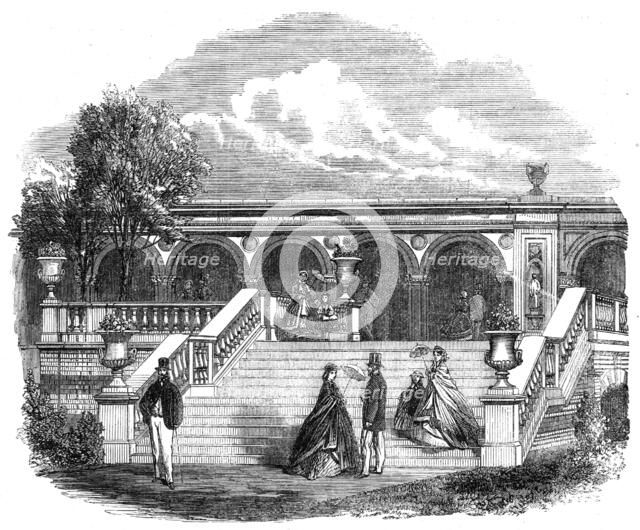 Royal Horticultural Society's Gardens, South Kensington: steps from one of the central..., 1861. Creator: Unknown.