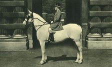 Royal Outrider in Scarlet Livery 1950s. Creator: Unknown