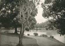Royal Lakes, Rangoon 1900. Creator: Unknown