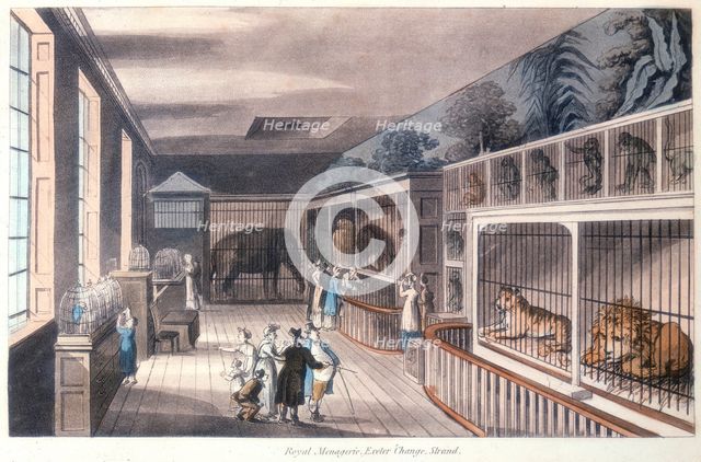 'Royal Menagerie, Exeter Change, Strand, London', c1820. Creator: Unknown.