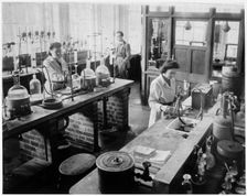 Royal Naval Cordite Factory, Wareham Road, Holton Heath, Wareham St. Martin, Dorset, 1915-1945. Creator: Unknown